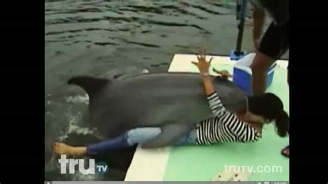 dolphin humping girl|Hilarious moment woman is unexpectedly humped by a dolphin